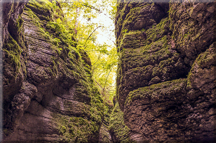 foto Canyon del Buso Vecio